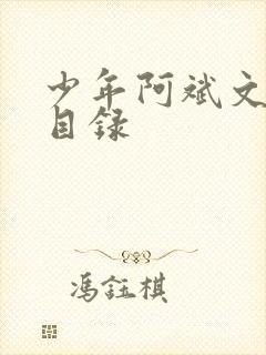 少年阿斌文说读目录