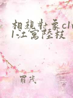 相亲对象c1v1江寓陆枝