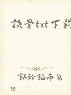 铁骨txt下载