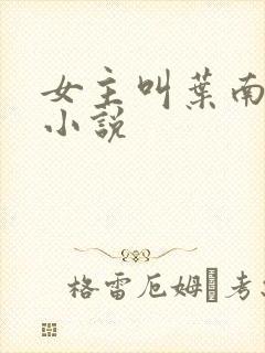 女主叫叶南初的小说