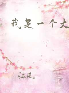 我是一个大盗贼