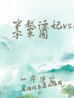 穿越德妃vs数字军团