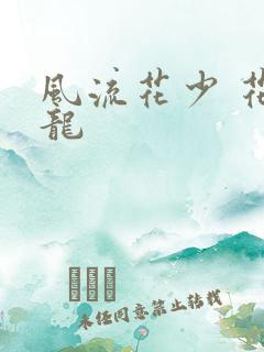 风流花少 花睿龙