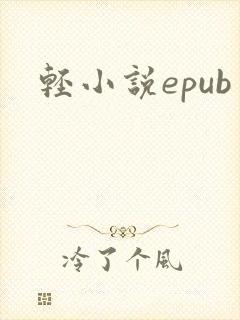 轻小说epub