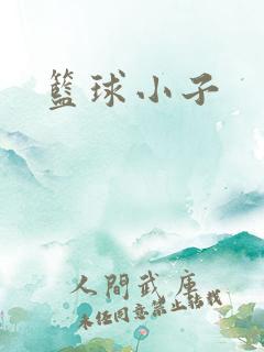 篮球小子