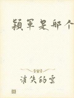 颖军是哪个军阀