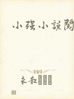 小强小说阅读网