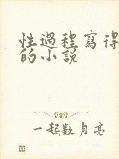 性过程写得详细的小说