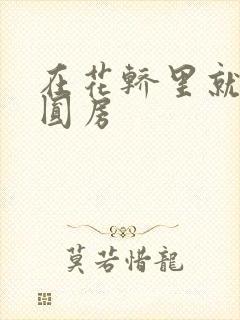 在花轿里就开始圆房