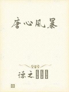 唐心风暴