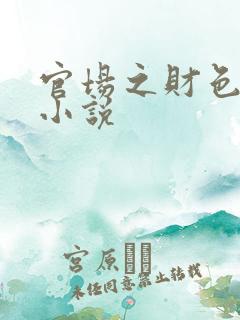 官场之财色诱人小说