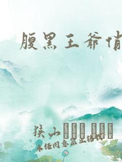 腹黑王爷俏医妃