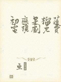 初恋是榴莲先生电视剧免费观看