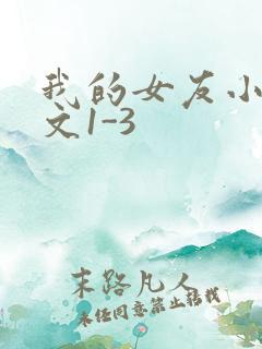 我的女友小洁全文1-3