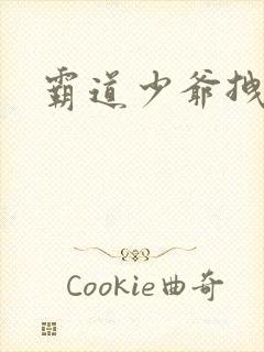 霸道少爷拽上我