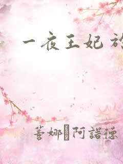 一夜王妃 于墨
