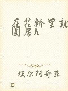 在花轿里就开始圆房h