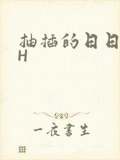 抽插的日日液液H