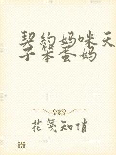 契约妈咪天才儿子笨蛋妈