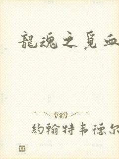 龙魂之觅血心缘