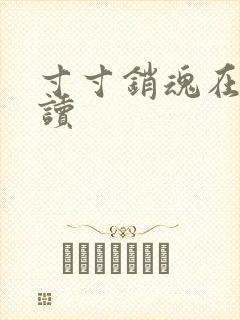 寸寸销魂在线阅读