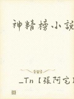 神精榜小说