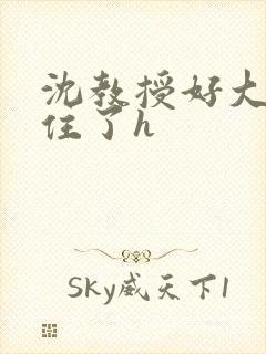 沈教授好大含不住了h