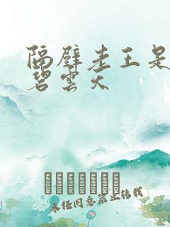 隔壁老王是皇帝碧云天