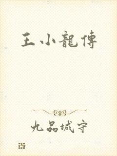 王小龙传