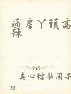 通房丫头高h肉辣