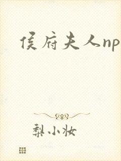 侯府夫人np