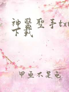 神医圣手txt下载