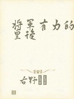 将军有力的撞着皇后