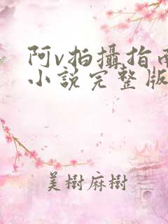 阿v拍摄指南说小说完整版