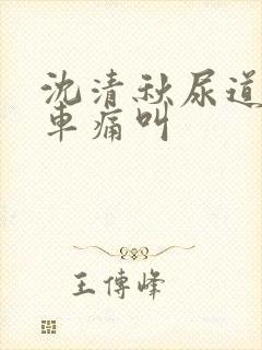 沈清秋尿道扩张车痛叫