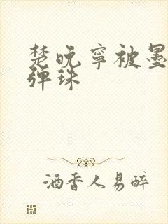 楚晚宁被墨燃塞弹珠