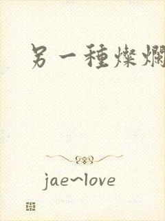 另一种灿烂生活