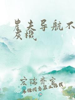 农夫导航不要打灰机