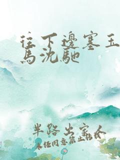 往下边塞玉器骑马沈驰