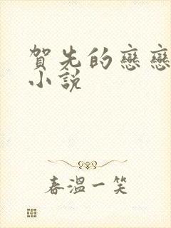 贺先的恋恋不忘小说