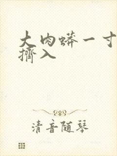 大肉蟒一寸一寸挤入