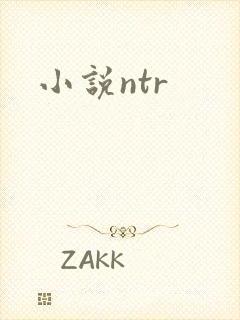 小说ntr