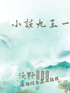 小说九王一后