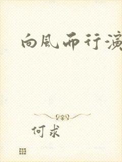 向风而行演员表