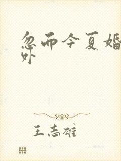 忽而今夏婚后番外