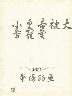 小皇帝被大臣轮番宠爱