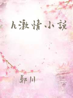 h激情小说