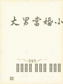 大男当婚小说