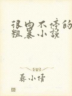 很肉不停的做很粗暴小说