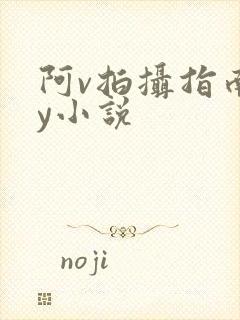 阿v拍摄指南by小说